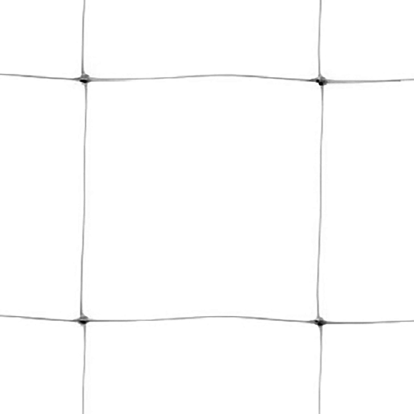 Tenax 100521799 Hortonova Sm Plant Trellis Net, 42" x 3280', White