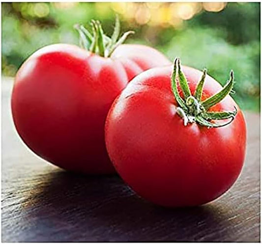 Marglobe Tomato Seeds - Large Tomato - One of The Most Delicious Tomatoes for Home Growing, 200+ Seeds