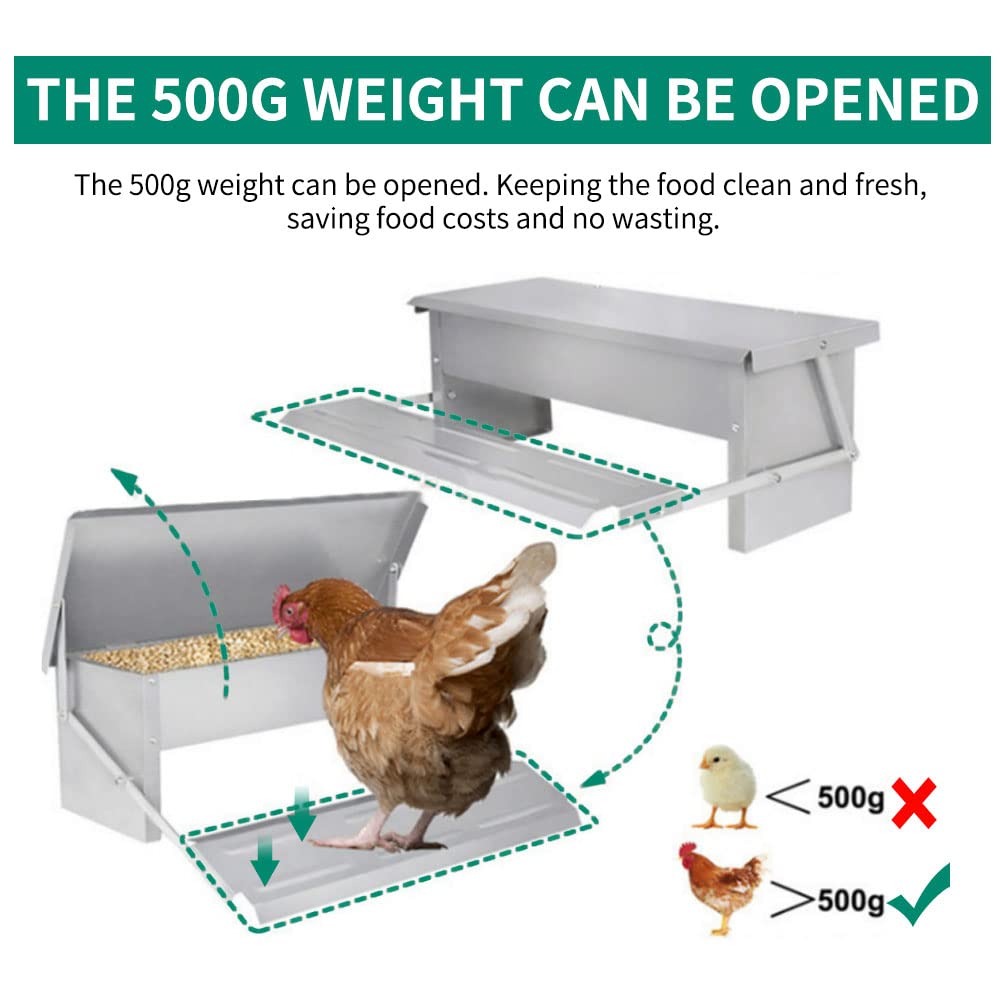 Abustle pig 5L Automatic Chicken Feeder Poultry Treadle Galvanized Steel Trough for Roosters Pheasant Chicken Outdoor Coop, Rat Proof with Weatherproof Lid
