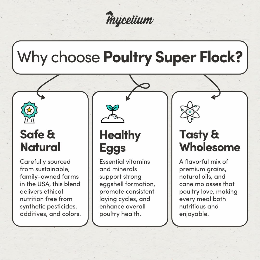 Mycelium Poultry Super Flock Food | High Protein Bird Food with Vitamins & Corn for Chicken, Turkey, Duck & Geese | Supports Growth, Egg Production, Feather & Immune Health | 5 lb Bag