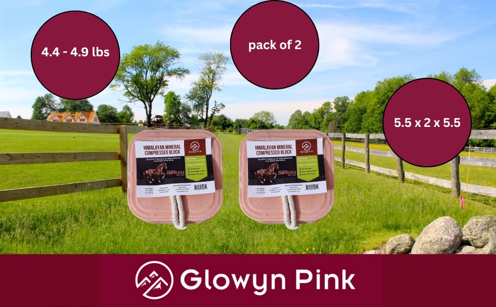 Glowyn Pink Himalayan Compressed Salt for Equine and Livestock Pack of 2 (4.4-4.9 lbs) Each Block Organic Salt Block with Natural Minerals