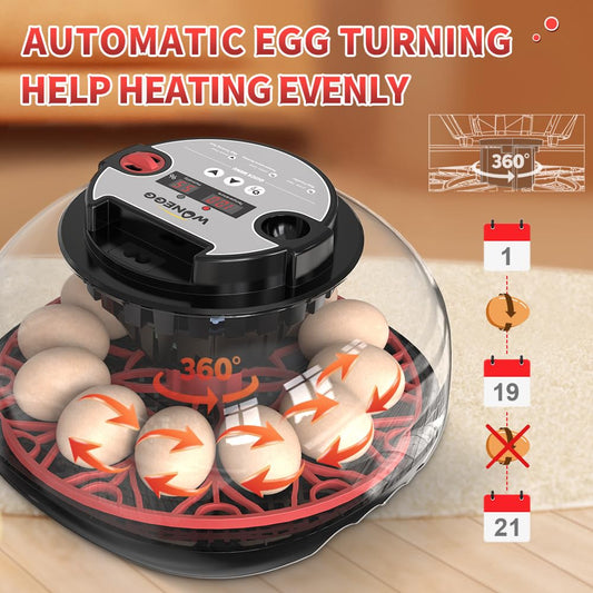 incubators for Hatching Eggs，12 Egg Incubator,Egg Incubator with Automatic Egg Turning and Humidity Control，Incubator for Chicken Eggs，Chicken incubators for Hatching Eggs，Egg Incubator