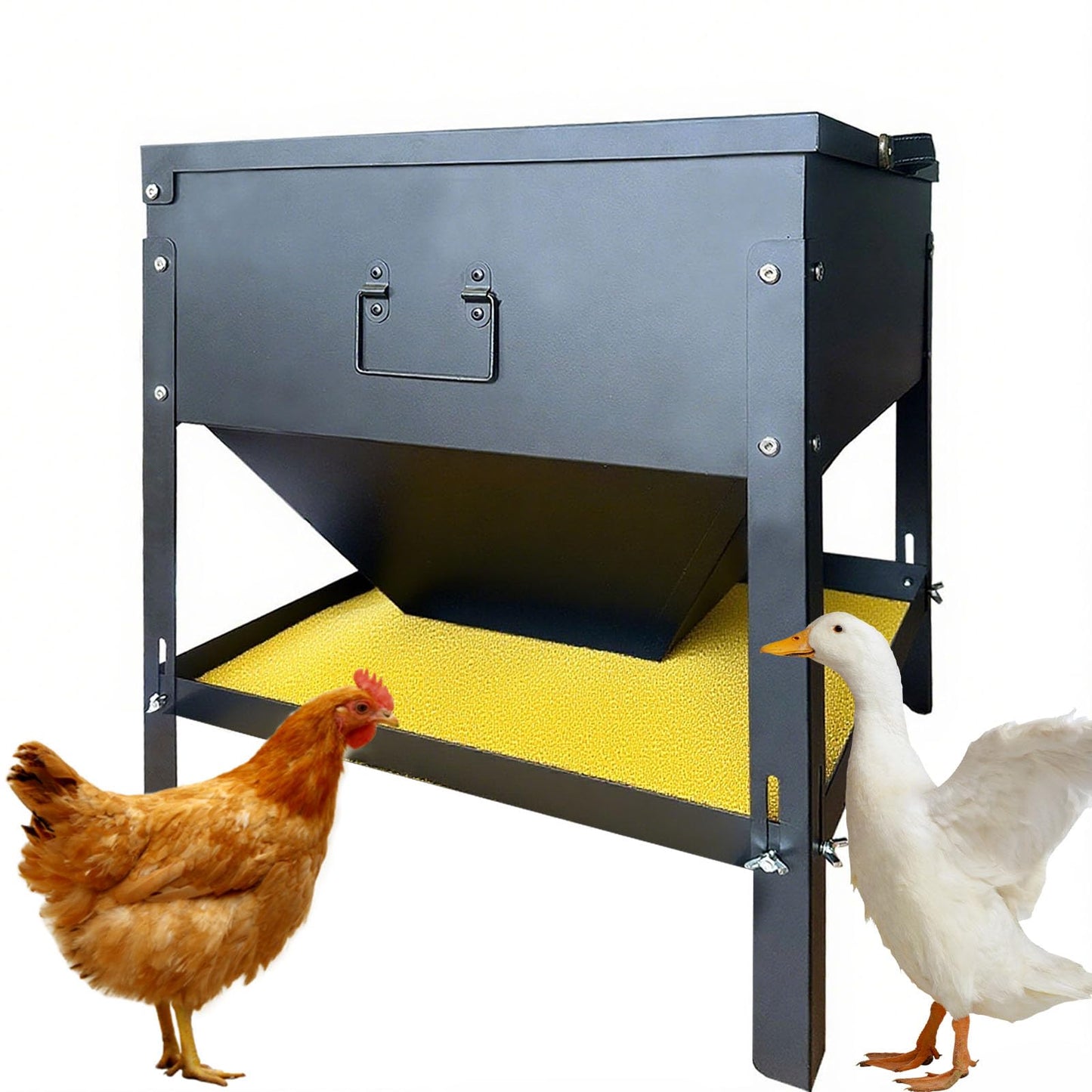 Large Capacity Automatic Chicken Feeder 80lbs Metal Poultry Feeder Set,with Latch & Handle Suitable for Chickens, Ducks, Turkeys（Adjustable Height）