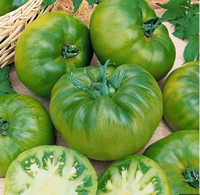 Cherokee Green Heirloom Tomato Seeds - Large Tomato - Most Delicious of The Green Tomatoes for Home Growing,