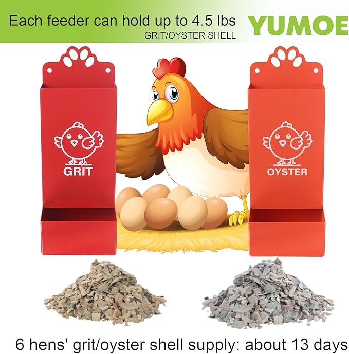 Metal Chicken Feeder Oyster Shell and Grit Dispensers for Chicken Coop Accessories