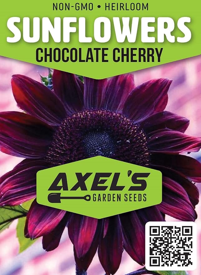 Sunflower Seeds for Planting – Plant & Grow Heirloom Chocolate Cherry Sunflowers in Home Outdoor Garden - Planting Instructions for Vibrant Blooms - Great Gardening Gift, 3 Packets