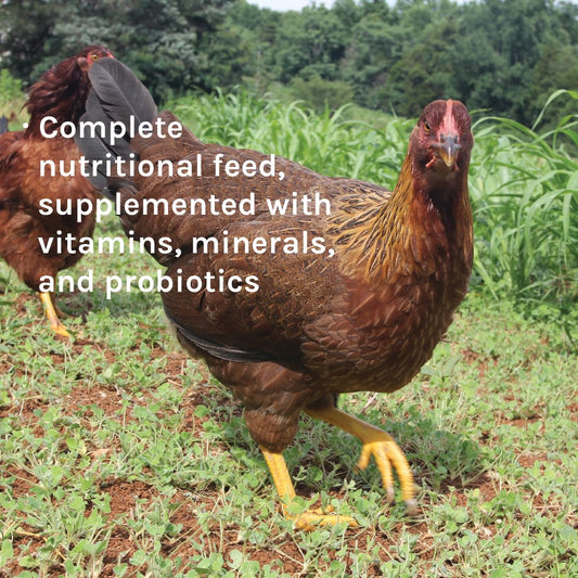 New Country Organics | Wheat-Free Chicken Feed 40lbs | Layer Feed for Laying Hens | Gluten-Free and Soy-Free | 17% Protein | Certified Organic and Non-GMO Chicken Food | 40 lbs