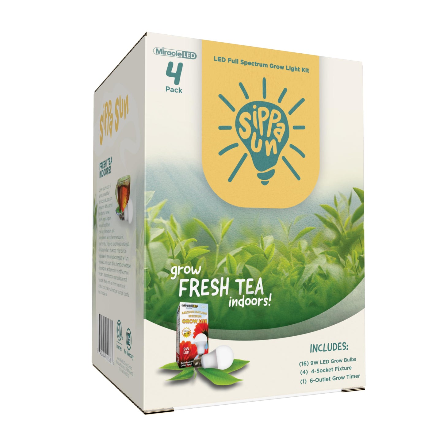 Miracle LED Sippa Sun Indoor Tea Grow Light Kit – Home Grown Green, Black, Oolong Tea – Absolute Daylight Full Spectrum Replace 100W Grow Bulbs & 4-Socket Corded Fixture with Timer (4-Pack)