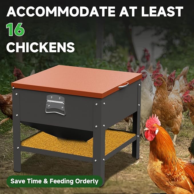 Automatic Chicken and Duck Feeder, 80 LBS Capacity Metal Chicken Feeder, Weatherproof Outdoor Gravity Feeding Barrel, No-Waste Feeder for Backyard Flock (Orange)