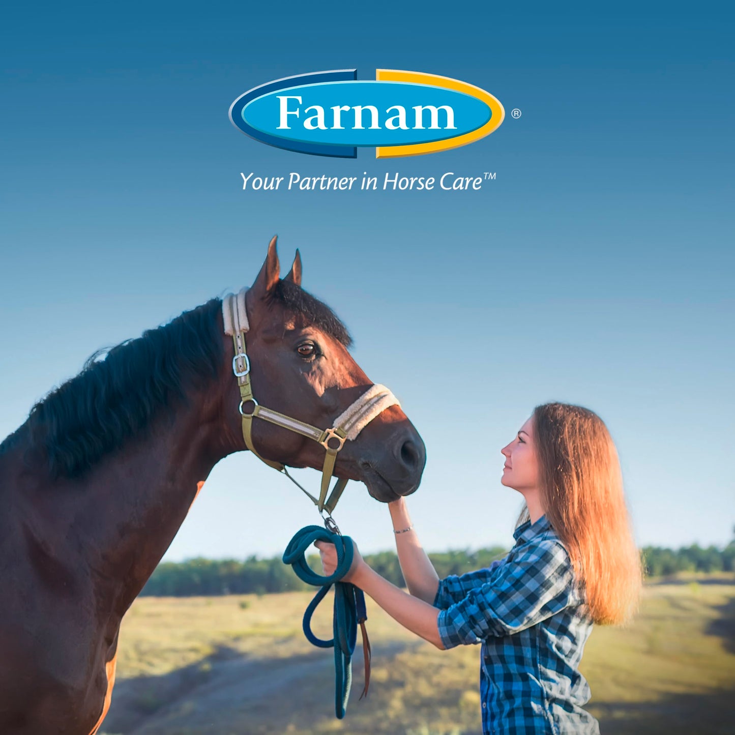 Farnam Purishield Intensive Care Gel, Promotes Healing*, Relief, Protection for 36 Hours*, for Wounds on Horses, Dogs, Cats & Livestock