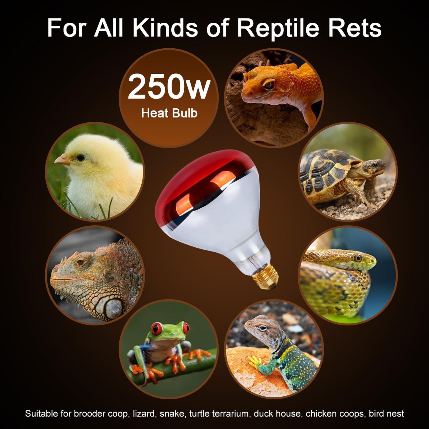 MISDOOD Infrared Heat Lamp 250 Watt 2 Pack, 120v R40 Incandescent Heating Bulbs for Reptiles Chicks Food Puppies Bathroom, E26 Base, Red