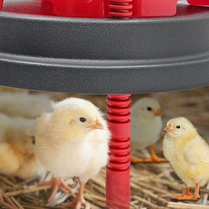 Chick Duckling Brooder Heating Plate- Chicken Coop Brooder Heater Like Mother Hen,Safer Than Brooder Lamps Heater -Warm Up to 15 Chick,Ducklings(Chick Brooder Heating Plate)