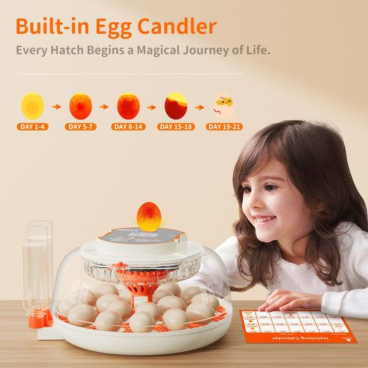 18 Egg Incubator, Automatic and Adjustable Egg Turning, Egg Candler, Temperature and Humidity Control, Hatch Day, 2 Size Egg Tray, Automatic Water Refill, Hatching Chicken Quail Duck Turkey Goose Bird