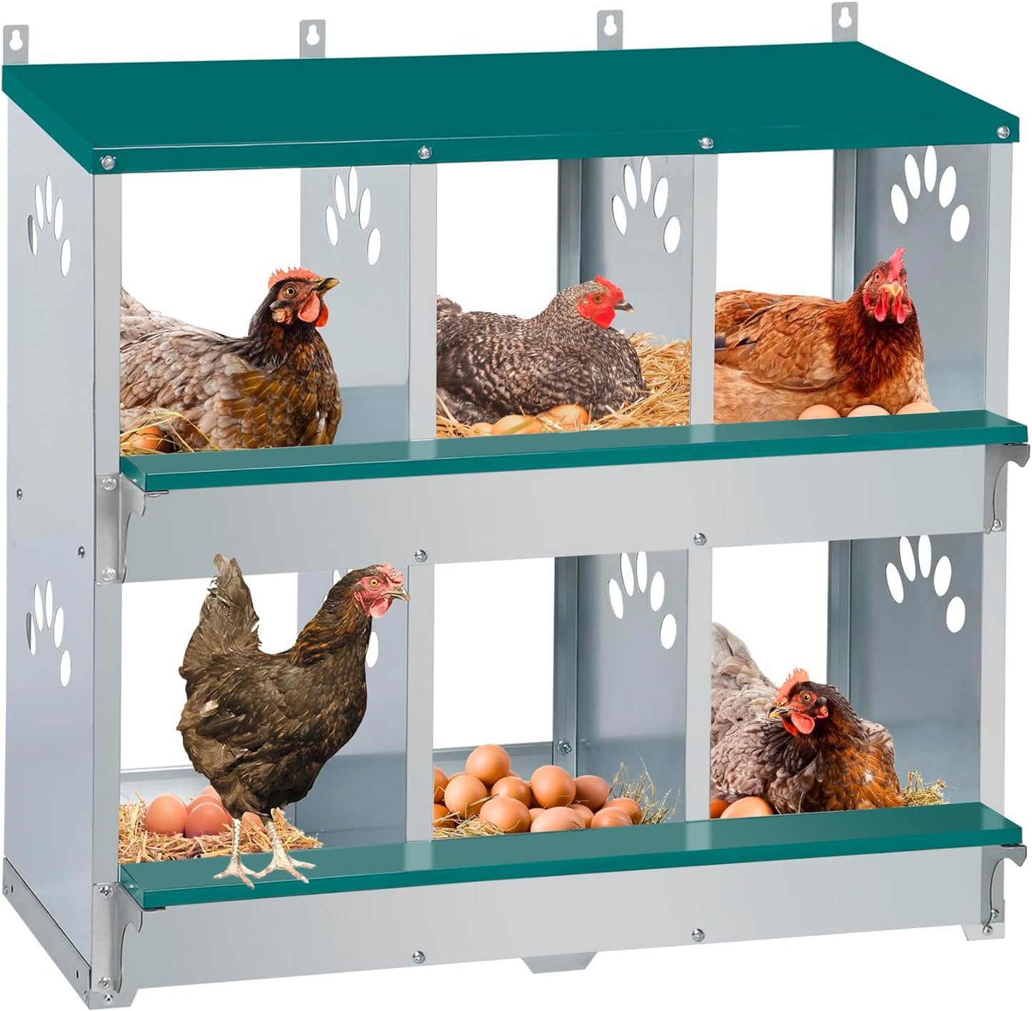 Toriexon Chicken Nesting Box, 6 Compartment Metal Nesting Box, 6 Room Wall Mountable Nesting Boxes for Chicken, Green