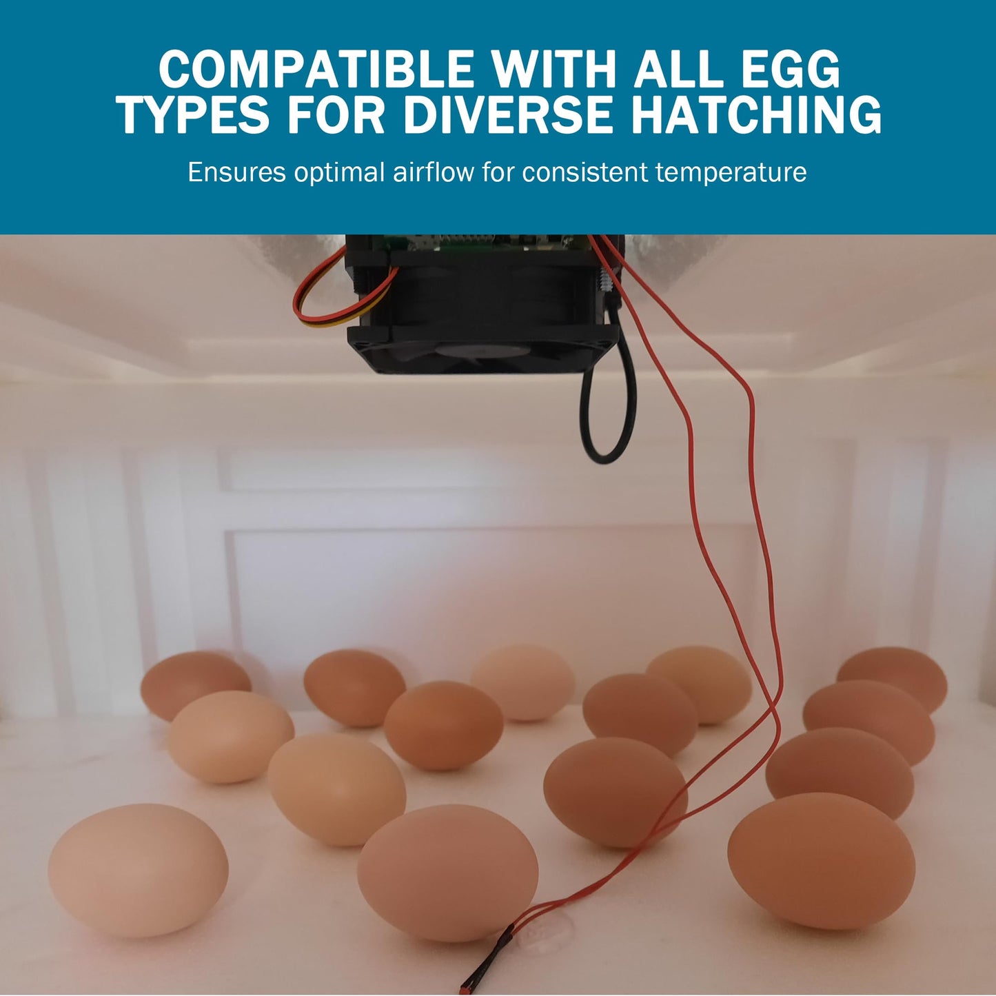 Incubator Warehouse IncuKit Mini 2 for Tabletop Eggs Incubator - IncuKit Thermostat for Incubator - Incubator Heater Unit and Fan - Digital Display with Button Control - Egg Incubator Kit