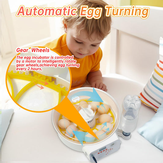 JANOEL Automatic Egg Incubator12-32 Eggs for Hatching Chick,Duck,Goose,Quail & Pigeons with Auto Egg Turnner/Fahrenheit Temperature+Humidity LED Display/Built-in Egg Candler/Perfect for Beginners