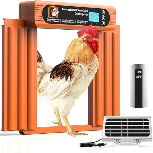 Automatic Chicken Coop Door Solar Powered, Extra Large Size, Anti-Pinch Design, Battery Powered Auto Chicken Door with Timer & Light Sensor, Large Solar Coop Door with Remote Control