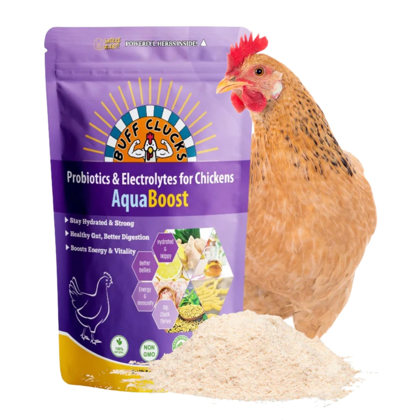 Buff Clucks AquaBoost Probiotic + Electrolyte Powder for Chickens – Natural Hydration & Gut Support Supplemnet for Daily Wellness & Egg Production - Safe for All Flocks & Ages - USA (8 oz)