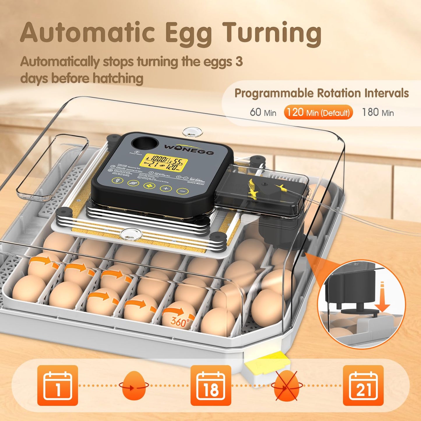 Egg Incubator Incubator for Hatching Eggs 48 Eggs for Lab Home Farm with Automatic Egg Turning 360° Egg Candler Viewing for Chicken, Ducks, Goose, Quail