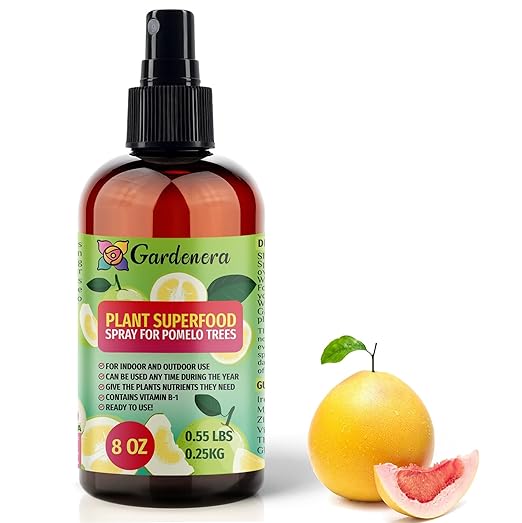 𝐁𝐄𝐒𝐓𝐒𝐄𝐋𝐋𝐄𝐑 Plant Superfood for Pomelo Trees with B1 Vitamin, Glucose and Essential Minerals - Organic Plant Food Fertilizer for Indoor & Outdoor Pomelo Tree Care - 8oz