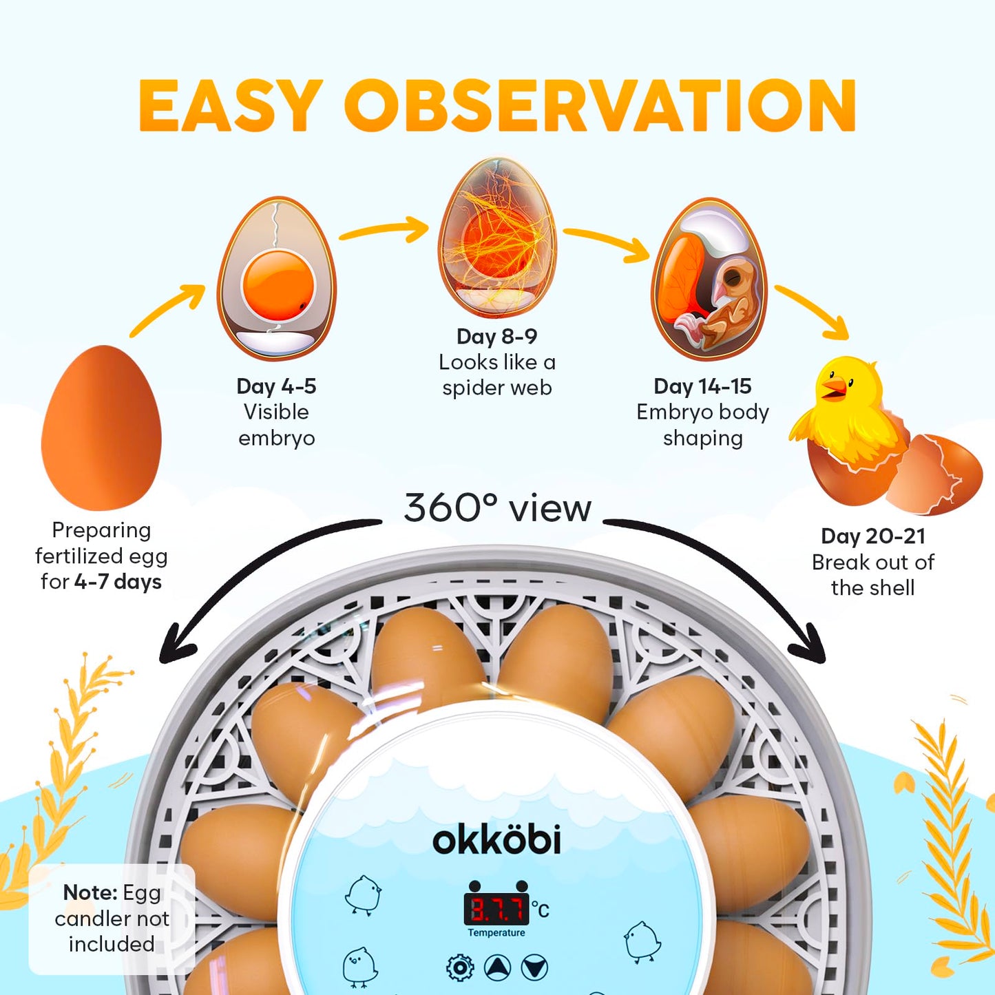 Okkobi M12 | Egg Incubator with Automatic Egg Turning and Humidity Control - 12/24 Eggs, 360° View, Easy to Use and Clean - Egg Incubators for Hatching Eggs - Incubadora de Huevos de Gallina