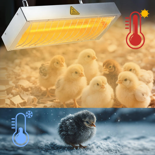 Large Chicken Coop Heater Lamp, 600W Brooder Heat Lamp for Chickens, Adjustable Temp and Height, No Assembly Heater for Chicks Pets Livestock, 1 Pack