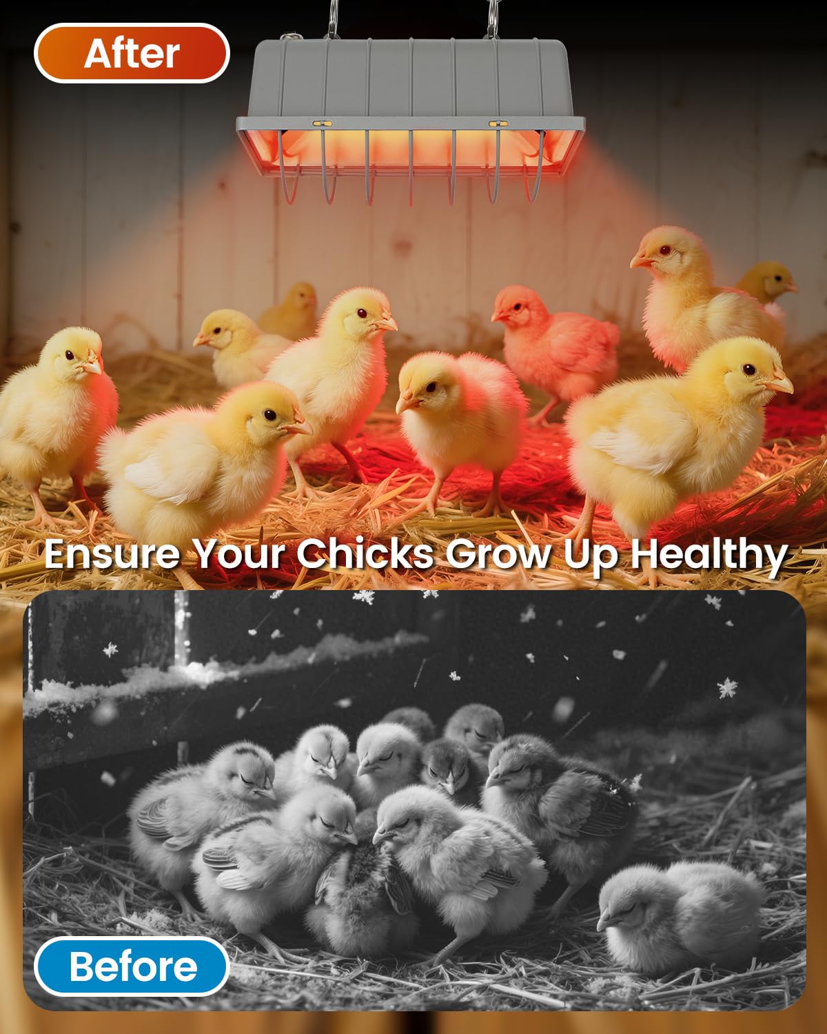 JIAXIDE Dual-Mode 300W Heat Lamp for Chickens - Long-Lasting Chicken Coop Heater & Chick Brooder Kit Companion, Safe Design with 7.87ft Cord for Poultry, Ducks, and Other Livestock