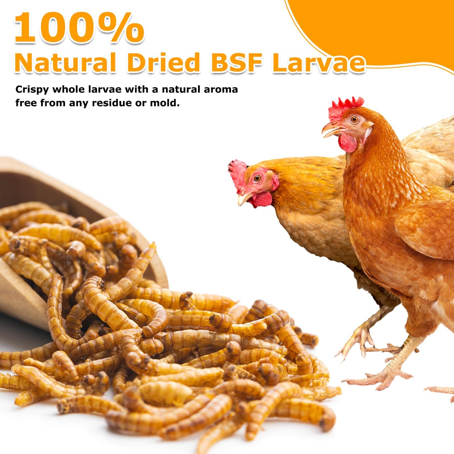 JANIO Dried Mealworms 5 LBS Meal Worms for Chickens, 100% Natural Non-GMO, Chicken Feed Mealworms for Birds