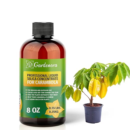 𝐏𝐑𝐄𝐌𝐈𝐔𝐌 Liquid Silica Plant Supplement - 8oz (250mL) - CARAMBOLA Plants Liquid Silica Boost Fertilizer - Stronger Stems & Healthy Leaves for Indoor & Outdoor Carambola Plants (Makes 45 Gallons)