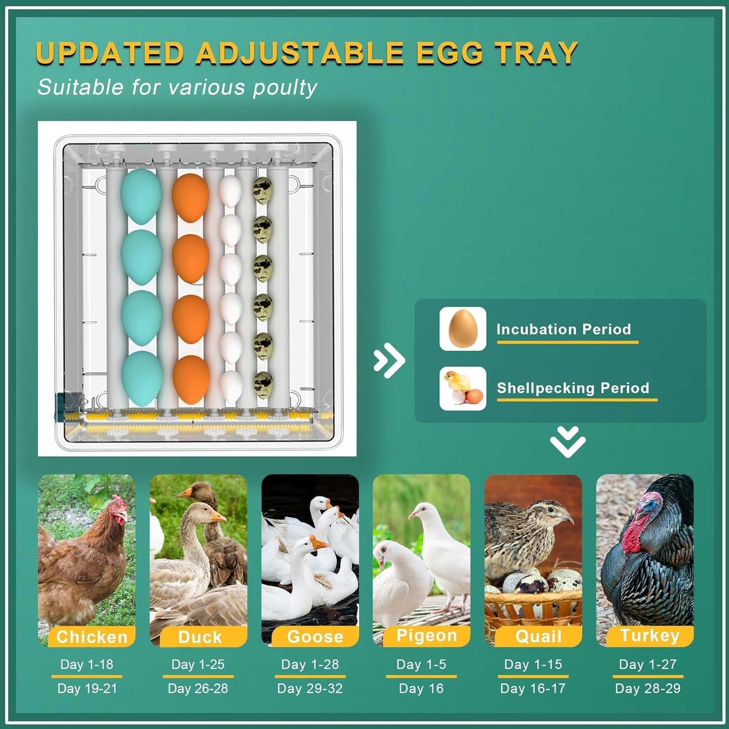 Choies 36 Egg Incubator for Hatching Eggs with Automatic Egg Turning and Humidity Control,Automatic Water Adding,360° View Incubators for Chicken Eggs,Quail,Ducks, Goose, Pigeon,Parrot Eggs
