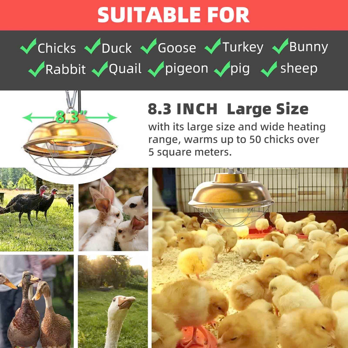 Chicken Coop Heater Inside Coop heat lamp，300 Watt Two-Stage Temperature Brooder Heater for Chicks, Duck，Poultry