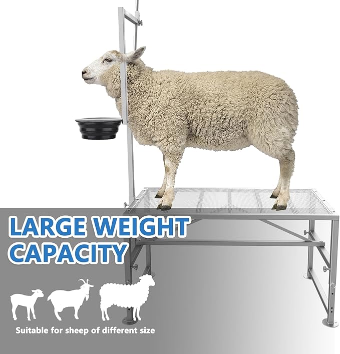 600 LBs Goat Stand with Feed Bin, Goat Milking Livestock Stand for Sheep Trimming and Milking, for Hoof Trimming, with Feeder, Adjustable Size, Iron Silver