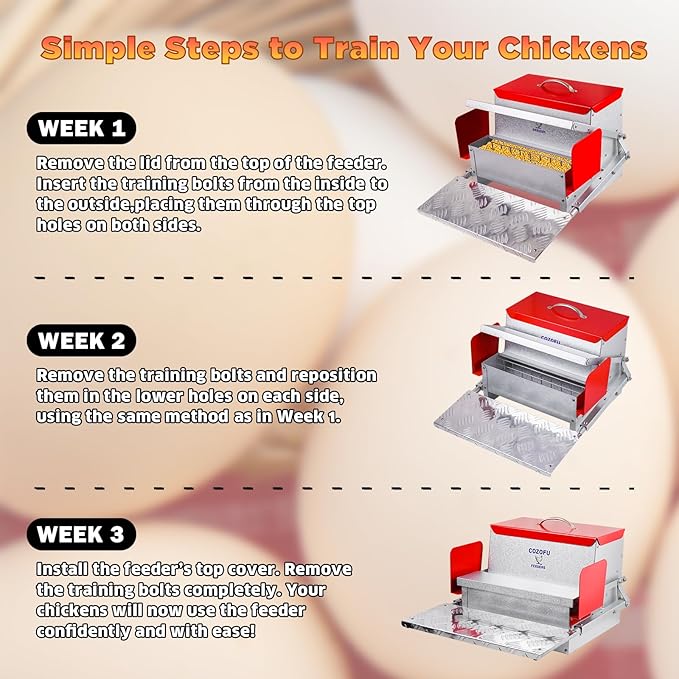 Feeders Automatic Chicken Feeder - Large Capacity for 6-12 Chickens, Lasts 10 Days (25lb Feed), Durable Galvanized Steel, Rat-Proof, No-Spill, Weatherproof Lid