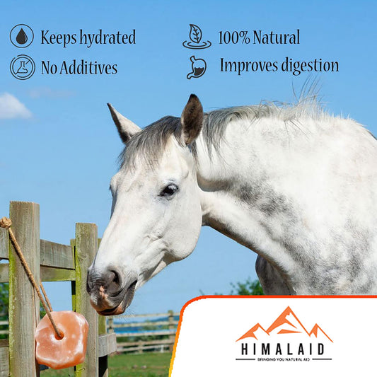Himalaid Himalayan Pink Salt Lick (6 LBS Pack of 6) - 100% Pure & Natural Feed Salt Block | Natural Minerals and Trace Elements, for Livestock and Wildlife Animals