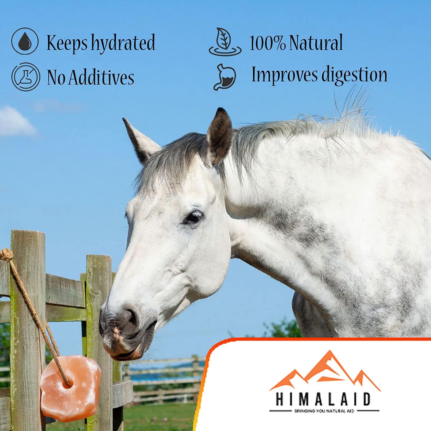 Himalaid Himalayan Pink Salt Lick (2.5 LBS Pack of 9) - 100% Pure & Natural Feed Salt Block | Natural Minerals and Trace Elements, for Livestock and Wildlife Animals