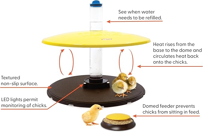 Cozy Chickens Brooder Habitat Plus – Safer Than Heat Lamps, 36 Watt Heated Brooder for Warm Newborn Chicks with Adjustable Dome, Water Tube & Feeding Dish