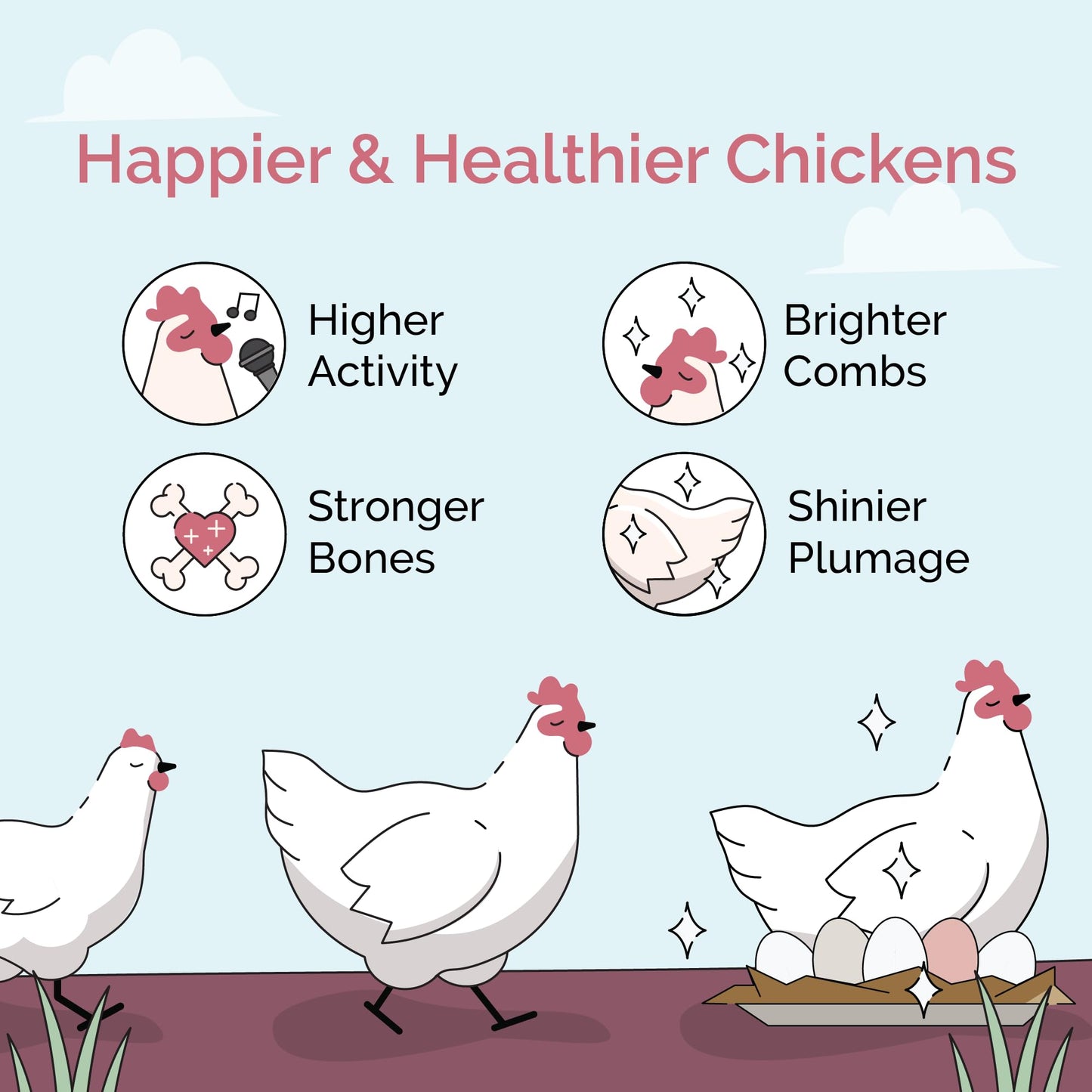 Mile Four Oyster Shell for Chickens - Calcium Supplement for Chickens, 100% Natural Limestone Calcium Carbonate, Strong Eggshell & Bone Booster, 4 lbs