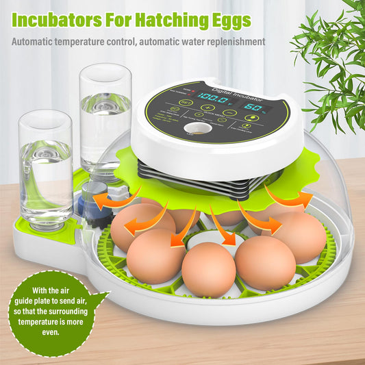 Egg Incubator with Automatic Egg Turning and Humidity Control, Chicken Incubators for Hatching Eggs, Built-in Egg Candle, Holds 8 Eggs, Suitable for Hatching Chickens, Quails, Ducks, Parrots, Geese