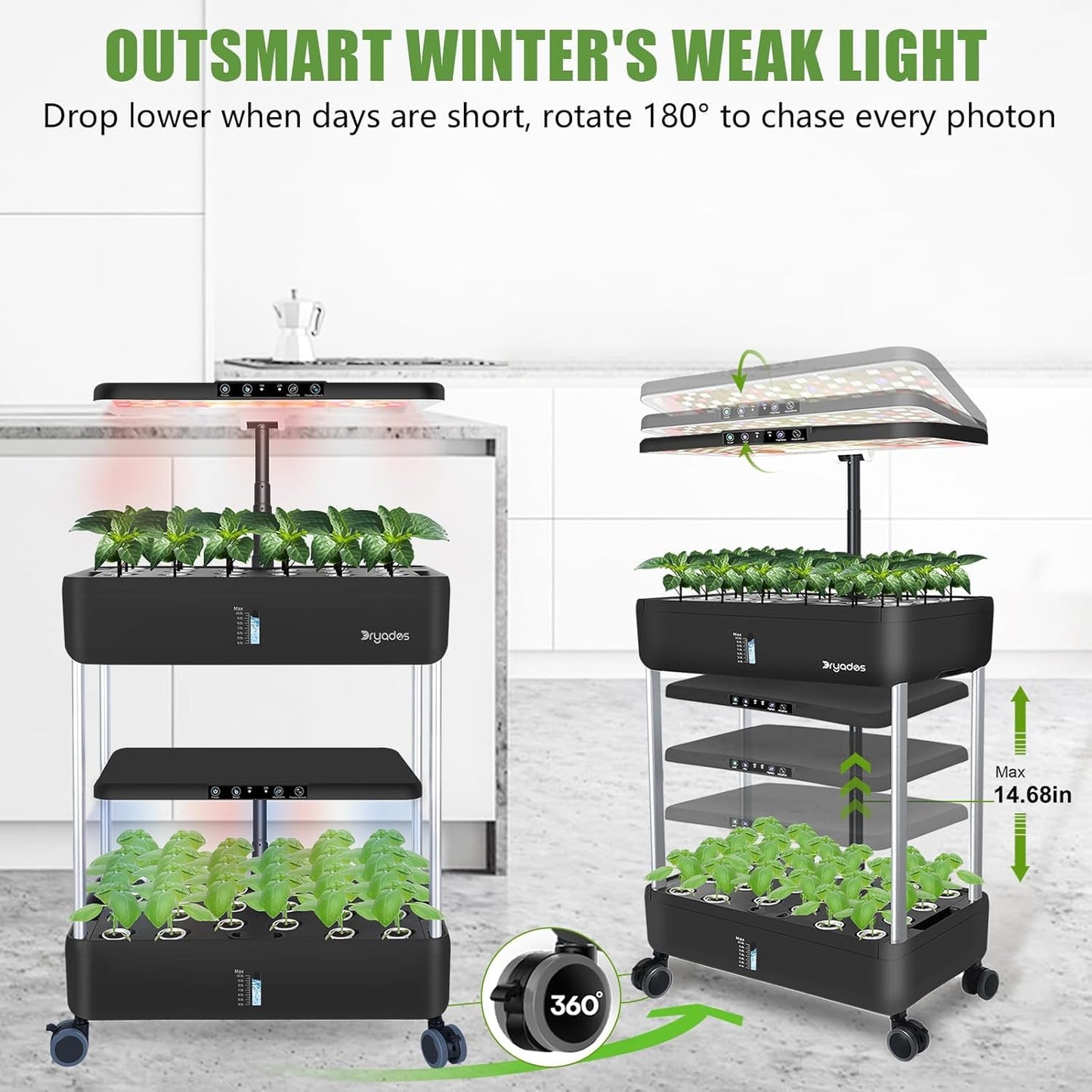 DRYADES 44-Pod Indoor Hydroponic Growing System + 3 Free Seeds Starter Kit (Lettuce, Salad Mixed, Basil Seeds) – Dual 53W Full-Spectrum LED, 10-L Water Tank, 2-Tier Grow Pods