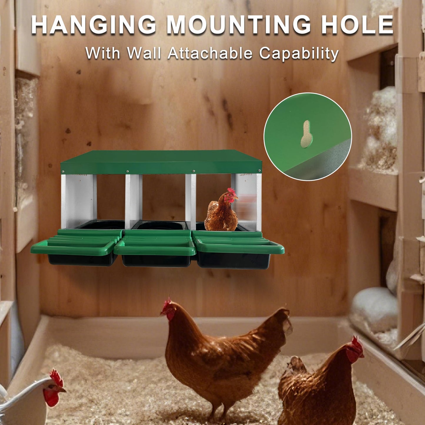 Eggluuz Chicken Nesting Box, 3 Compartments Chickens Egg Laying Nest Boxes for Hens Green