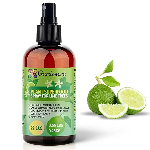 𝐁𝐄𝐒𝐓𝐒𝐄𝐋𝐋𝐄𝐑 Plant Superfood for Lime Tree with B1 Vitamin, Glucose and Essential Minerals - Organic Plant Food Fertilizer for Indoor & Outdoor Lime Trees Care - 8oz
