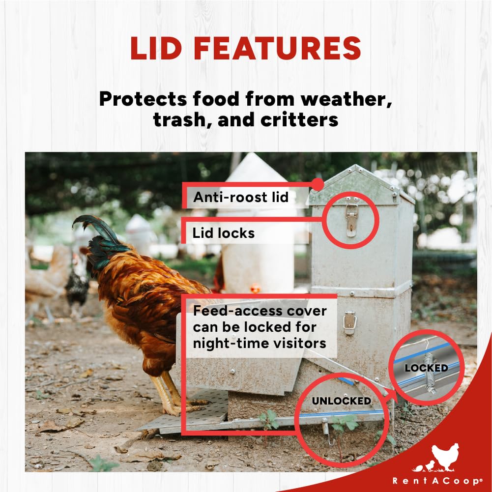 RentACoop Automatic Metal Treadle Feeder - Outdoor Use, Rainproof - Suitable for Chickens, Bantams, Poultry, Pheasants, etc. - 40lb Capacity