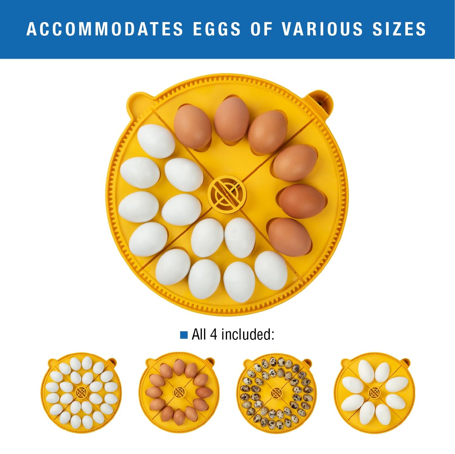 Brinsea Maxi 24 EX Egg Incubator with Automatic Humidity Control and Egg Turning for Hatching 24 Chicken, Duck, or Other Eggs, Optimal Flexibility with Mix & Match Sizes