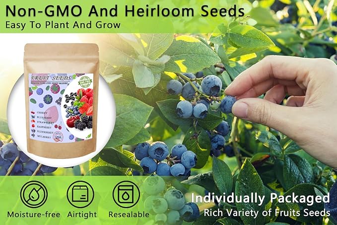 Mix Fruit Seeds 1100+ Berry Seeds for Planting Strawberry Raspberry Mulberry Blueberry Elderberry Cherry - 6 Varieties Individually Packaged Non-GMO for Home Garden
