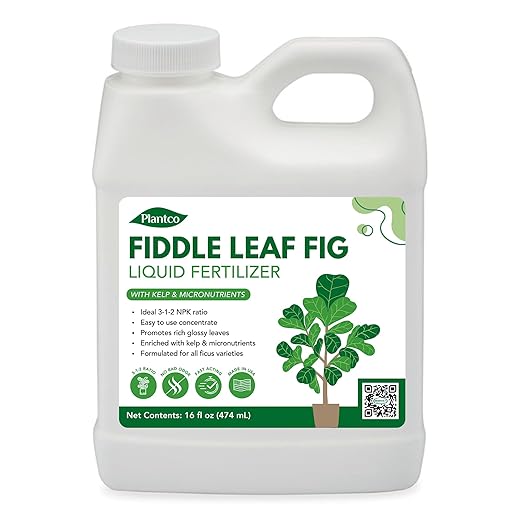 Fiddle Leaf Fig Fertilizer 3-1-2 - Liquid Fertilizer for FLF and Ficus Trees - Quick Results and Fast-Acting Nutrients | Makes up to 192 Cups of Fig Tree Plant Food with Micronutrients