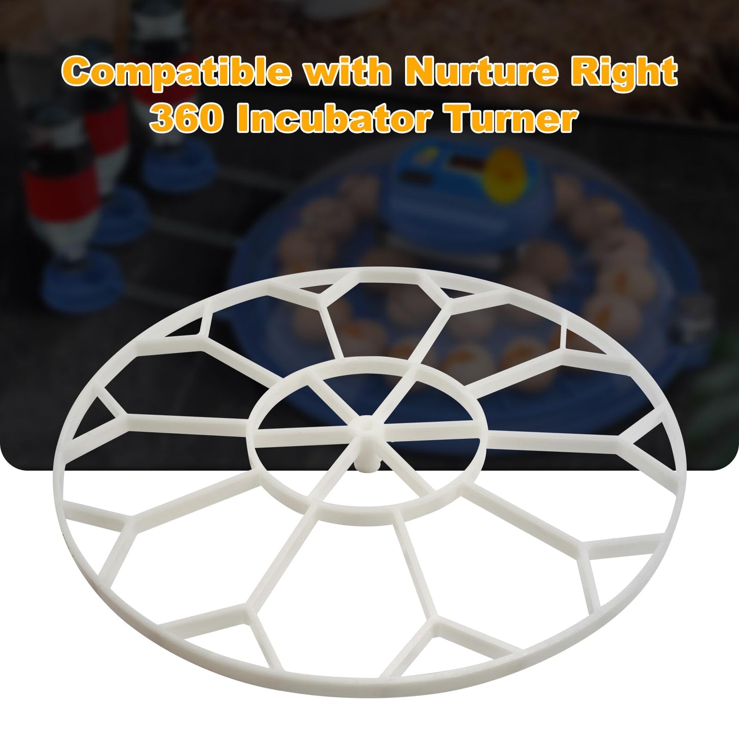 Queencar 10 Egg Capacity Jumbo Goose Heavy Breeds Tray Compatible with Nurture Right 360 Incubator Turner, White JGT360