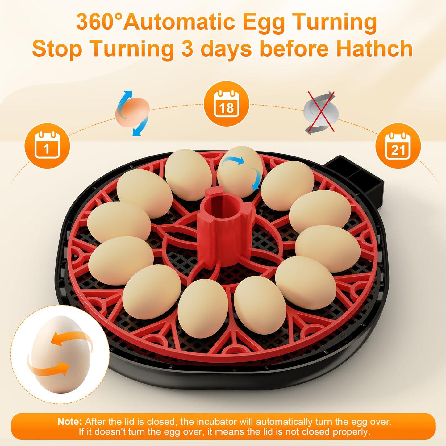 12 Egg Incubator with Automatic Egg Turning and Humidity Control, Intelligent Egg Incubator with Automatic Temp Egg Candler Air Vent, 360° Clear View, Hatching Chicken Duck Quail Bird