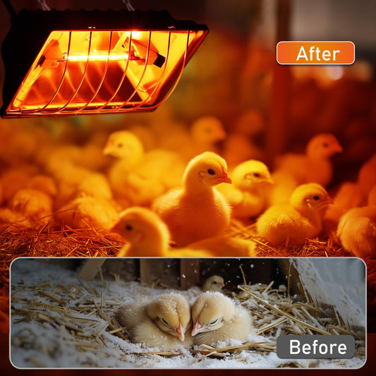 GSDOTZAP 250W Chicken Coop Heater with 2PCS Heat Lamp, Brooder Heater for 30 Chicks Or Ducklings, 6ft Cord Heat Lamp for Chickens, Adjustable Temp & Height Brooder Heating Plate for Livestock Pet