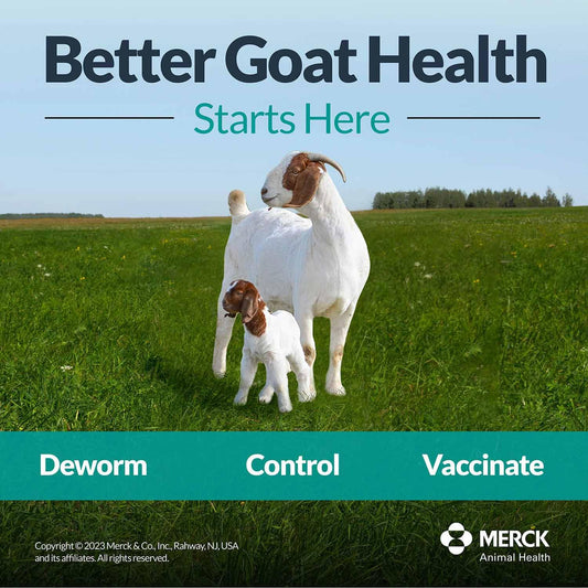 Safe-Guard (Fenbendazole) Dewormer Liquid 125ml