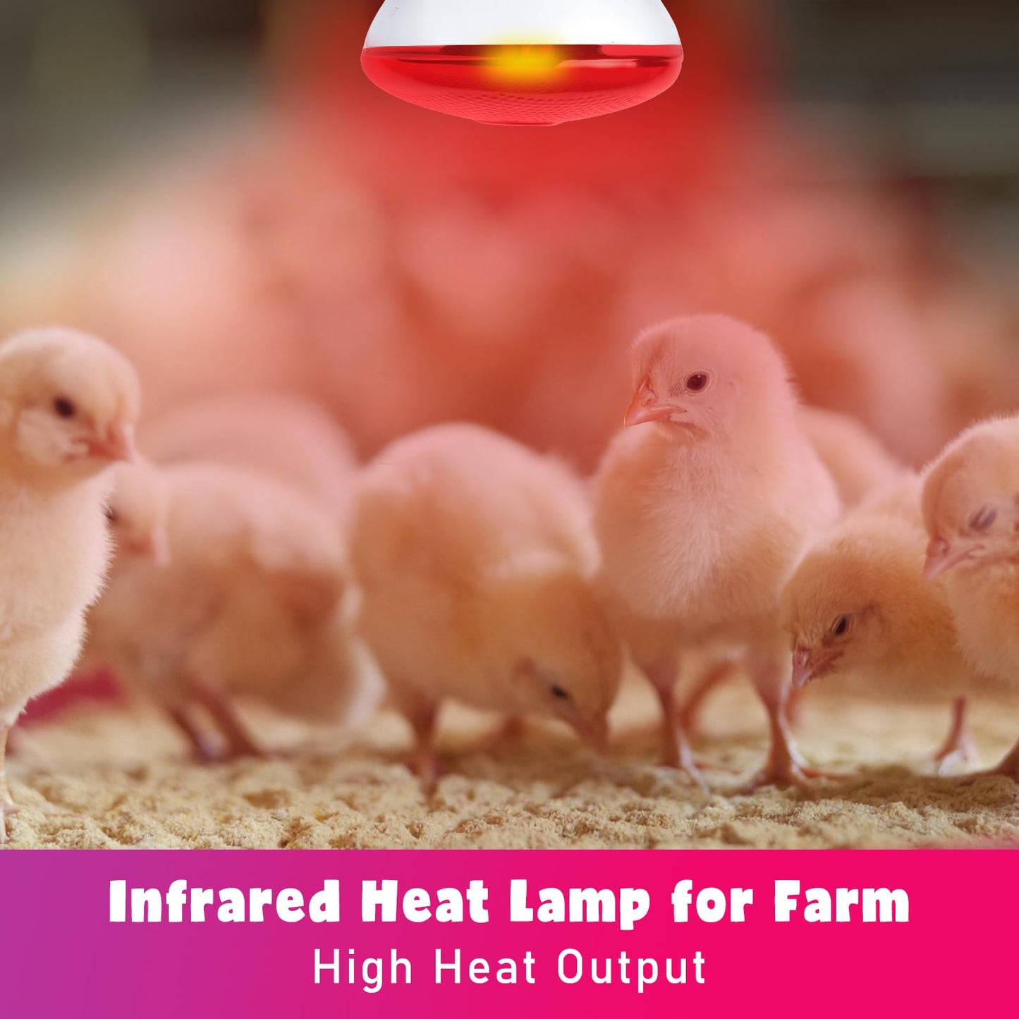 LUCKY HERP Infrared Heat Lamp for Chickens, 250 Watt Red Heat Lamp Bulb, 2 Pack Heat Light Bulb, Brooder Heat Lamp for Chicks Coop, Reptiles, Amphibian, Pet, Food Service